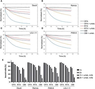 Complement-Dependent Activity of CD20-Specific IgG Correlates With Bivalent Antigen Binding and C1q Binding Strength